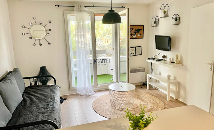 toulouse Vente Appartement