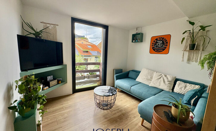 toulouse Vente Appartement