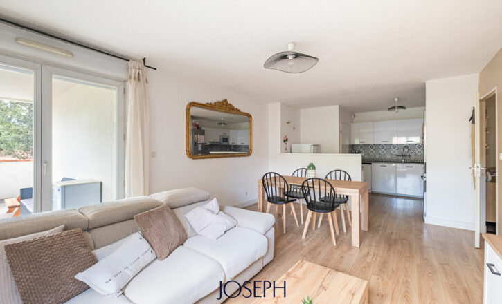 toulouse Vente Appartement