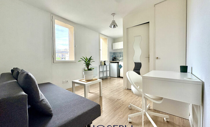 toulouse Vente Appartement