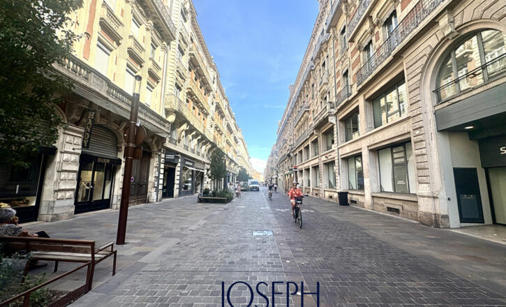 toulouse Vente Professionnel