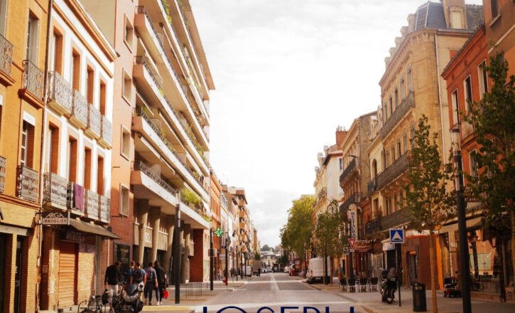 toulouse Vente Professionnel