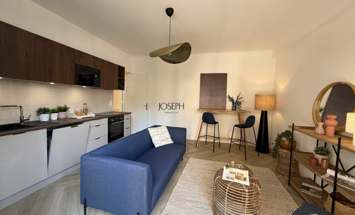 toulouse Vente Appartement