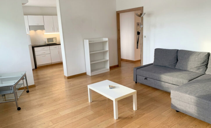 toulouse Vente Appartement