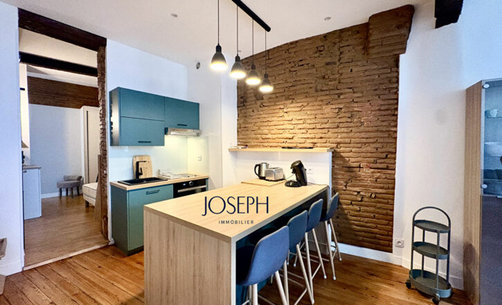 toulouse Vente Appartement