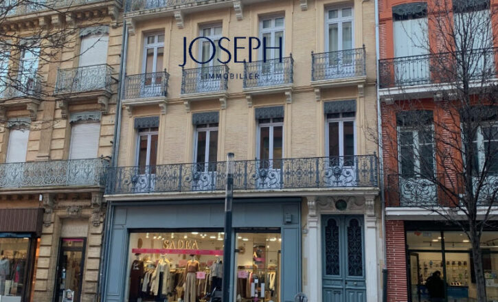 toulouse Vente Professionnel