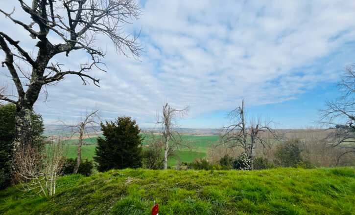 toulouse Vente Maison