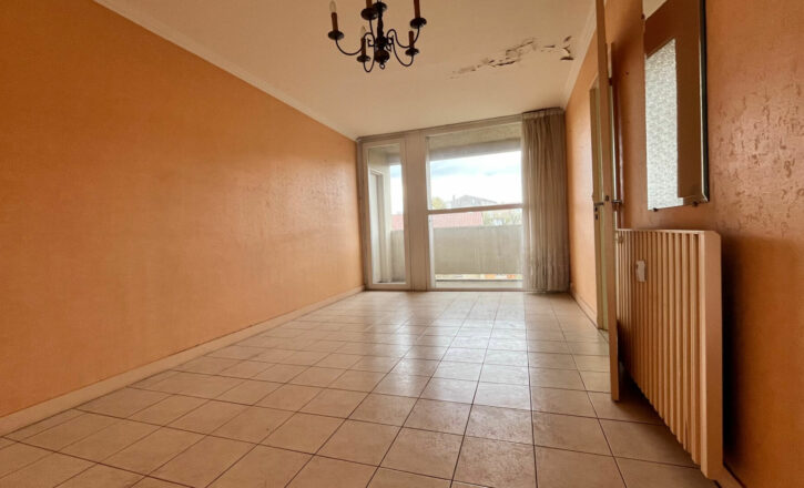 toulouse Vente Appartement